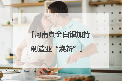 河南真金白银加持制造业“焕新”