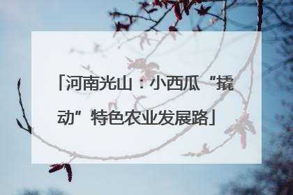 河南光山：小西瓜“撬动”特色农业发展路