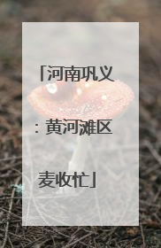 河南巩义：黄河滩区麦收忙