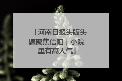 河南日报头版头题聚焦信阳｜小院里有高人气