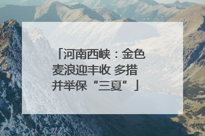 河南西峡：金色麦浪迎丰收 多措并举保“三夏”