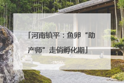 河南镇平：鱼卵“助产师”走俏孵化期