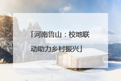 河南鲁山：校地联动助力乡村振兴