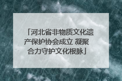 河北省非物质文化遗产保护协会成立 凝聚合力守护文化根脉