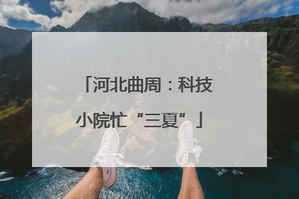 河北曲周：科技小院忙“三夏”