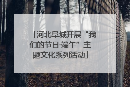河北阜城开展“我们的节日·端午”主题文化系列活动
