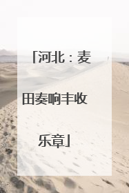 河北：麦田奏响丰收乐章