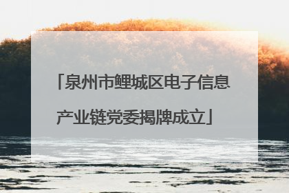 泉州市鲤城区电子信息产业链党委揭牌成立