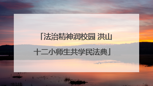 法治精神润校园 洪山十二小师生共学民法典
