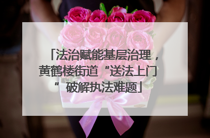 法治赋能基层治理，黄鹤楼街道“送法上门”破解执法难题