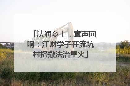 法润乡土，童声回响：江财学子在流坑村播撒法治星火