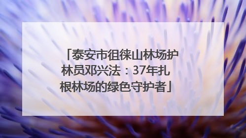 泰安市徂徕山林场护林员邓兴法：37年扎根林场的绿色守护者