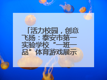 活力校园，创意飞扬：泰安市第一实验学校“一班一品”体育游戏展示精彩纷呈