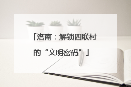 洛南：解锁四联村的“文明密码”