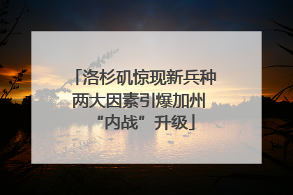 洛杉矶惊现新兵种 两大因素引爆加州“内战”升级