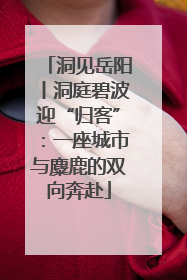 洞见岳阳丨洞庭碧波迎“归客”：一座城市与麋鹿的双向奔赴