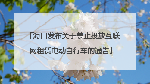 海口发布关于禁止投放互联网租赁电动自行车的通告