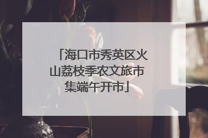 海口市秀英区火山荔枝季农文旅市集端午开市