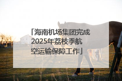 海南机场集团完成2025年荔枝季航空运输保障工作
