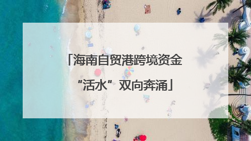 海南自贸港跨境资金“活水”双向奔涌