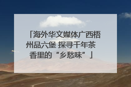 海外华文媒体广西梧州品六堡 探寻千年茶香里的“乡愁味”