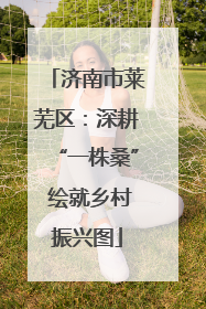济南市莱芜区：深耕“一株桑” 绘就乡村振兴图