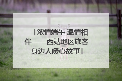 浓情端午 温情相伴——西站地区旅客身边人暖心故事