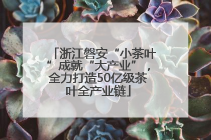 浙江磐安“小茶叶”成就“大产业”，全力打造50亿级茶叶全产业链