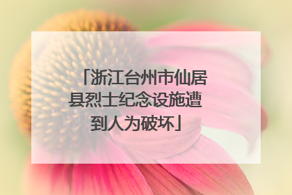 浙江台州市仙居县烈士纪念设施遭到人为破坏