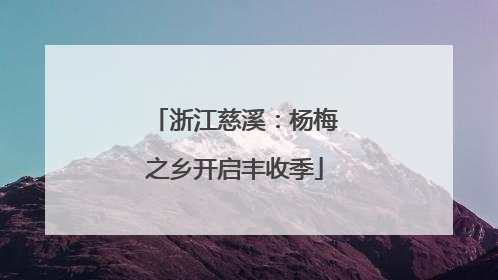 浙江慈溪：杨梅之乡开启丰收季