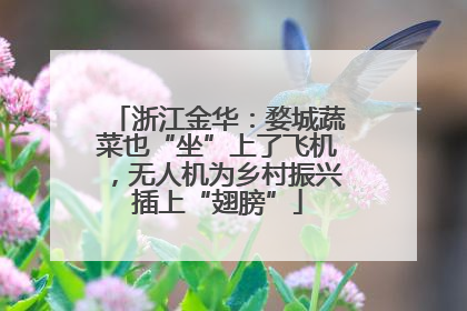 浙江金华：婺城蔬菜也“坐”上了飞机，无人机为乡村振兴插上“翅膀”