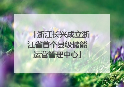 浙江长兴成立浙江省首个县级储能运营管理中心