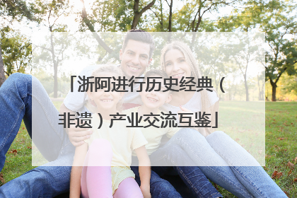 浙阿进行历史经典（非遗）产业交流互鉴