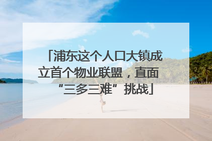 浦东这个人口大镇成立首个物业联盟，直面“三多三难”挑战