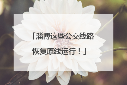淄博这些公交线路恢复原线运行！
