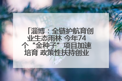 淄博：全链护航育创业生态雨林 今年74个“金种子”项目加速培育 政策性扶持创业9754人