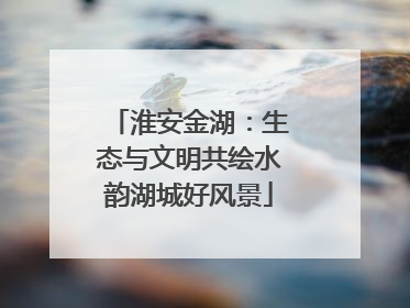 淮安金湖：生态与文明共绘水韵湖城好风景