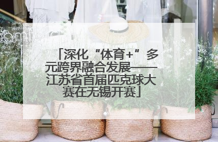 深化“体育+”多元跨界融合发展——江苏省首届匹克球大赛在无锡开赛