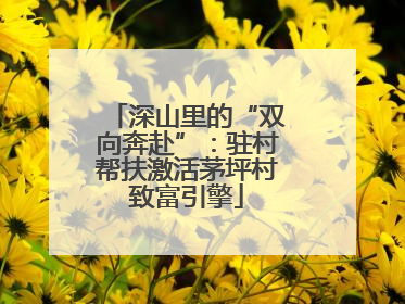 深山里的“双向奔赴”：驻村帮扶激活茅坪村致富引擎