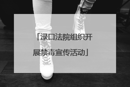 渌口法院组织开展禁毒宣传活动