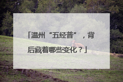 温州“五经普”，背后藏着哪些变化？