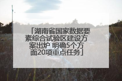 湖南省国家数据要素综合试验区建设方案出炉 明确5个方面20项重点任务