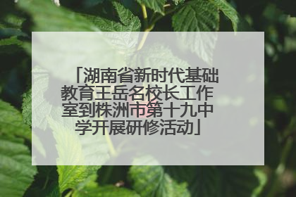 湖南省新时代基础教育王岳名校长工作室到株洲市第十九中学开展研修活动