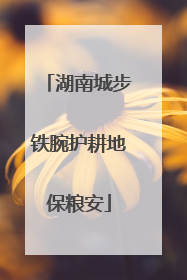 湖南城步铁腕护耕地保粮安