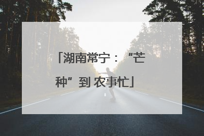湖南常宁：“芒种”到 农事忙