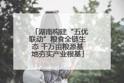 湖南构建“五优联动”粮食全链生态 千万亩粮源基地夯实产业根基