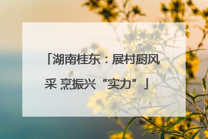 湖南桂东：展村厨风采 烹振兴“实力”