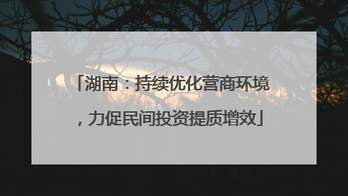 湖南：持续优化营商环境，力促民间投资提质增效