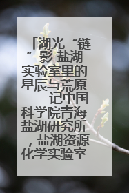 湖光“链”影 盐湖实验室里的星辰与荒原——记中国科学院青海盐湖研究所，盐湖资源化学实验室党总支书记、副主任刘忠