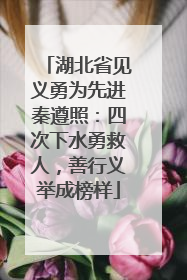 湖北省见义勇为先进秦遵照：四次下水勇救人，善行义举成榜样